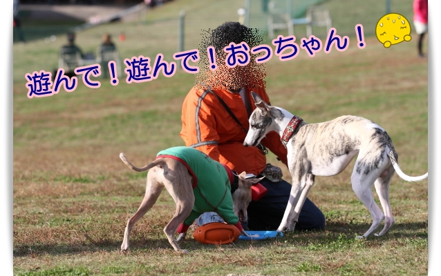 e0100007_21584114.jpg
