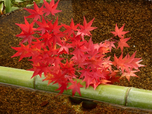 a0139908_16493860.jpg