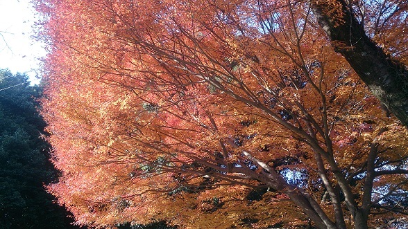 c0124908_10294165.jpg