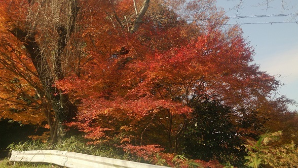 c0124908_10295909.jpg