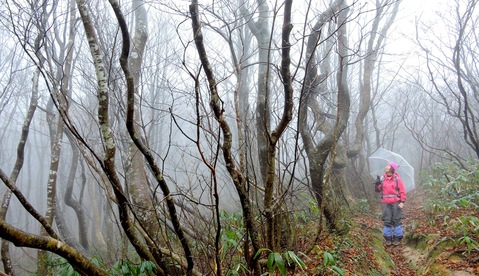 初冬の医王山　11月26日（水）_c0078410_833329.jpg