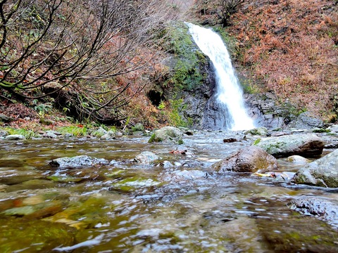 初冬の医王山　11月26日（水）_c0078410_8425444.jpg