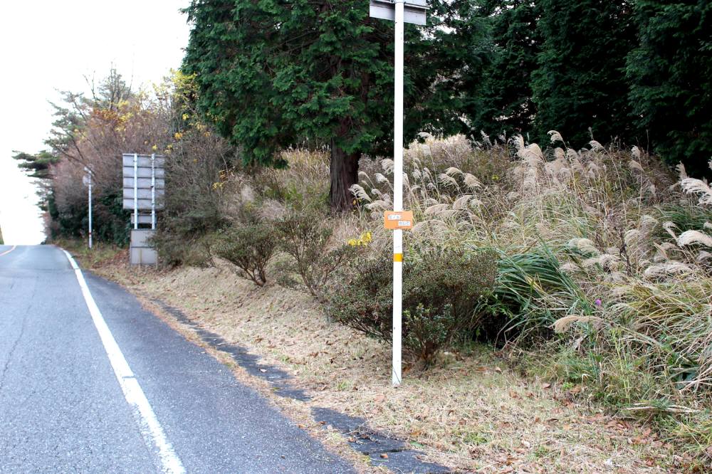 f0212511_23403942.jpg