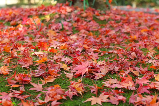 f0218012_20142296.jpg
