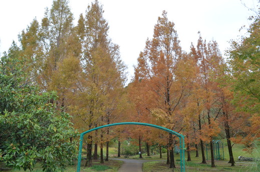 e0135518_1147235.jpg