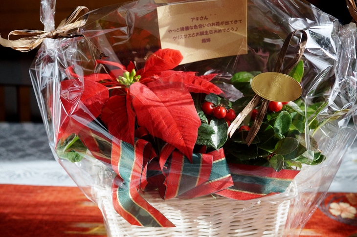 【葱チャーシュー麺】／超姉さんからの　素敵なクリスマスプレゼントが届きましたヾ（＾▽＾）ノ_b0033423_2325016.jpg