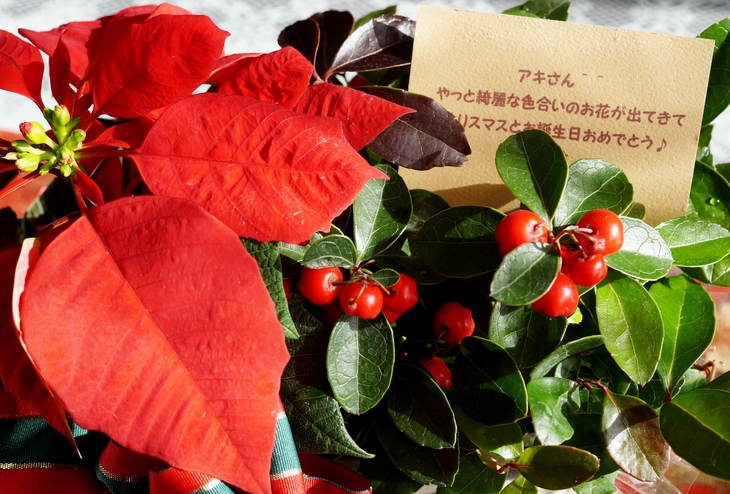 【葱チャーシュー麺】／超姉さんからの　素敵なクリスマスプレゼントが届きましたヾ（＾▽＾）ノ_b0033423_2355318.jpg