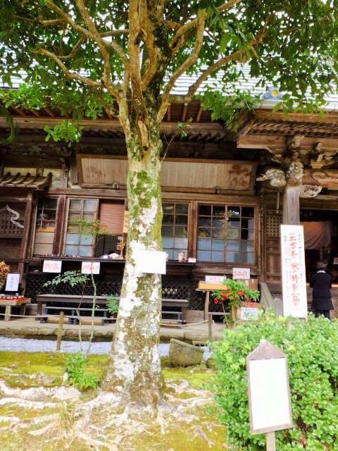 a0166324_20173110.jpg