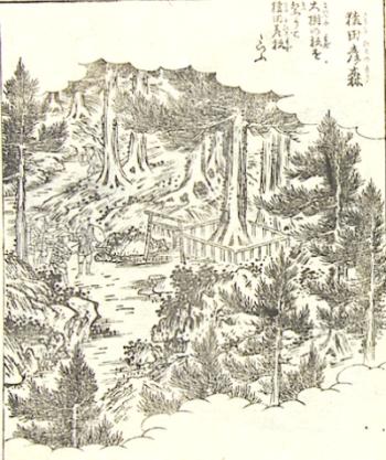 伊雑宮と猿田彦〈２〉猿田彦のひもろぎ「片枝の杉」_a0300530_1627249.png