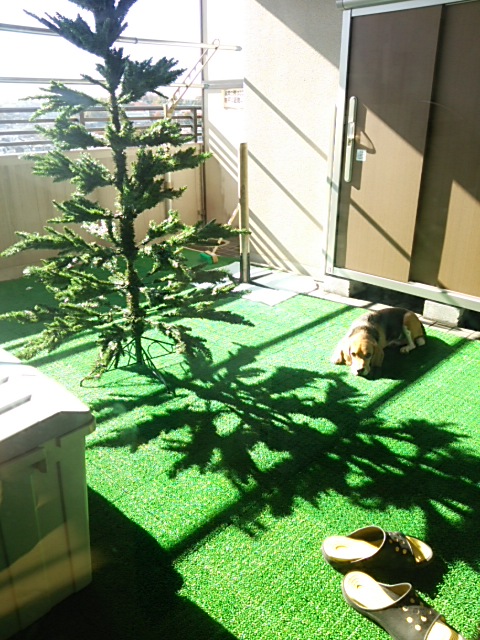 d0268536_10544648.jpg