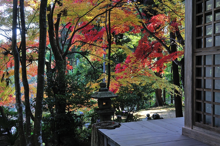 嵯峨嵐山紅葉２０１４－４_d0148541_20501454.jpg