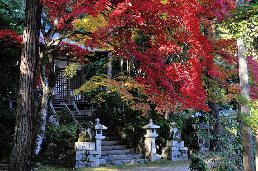 嵯峨嵐山紅葉２０１４－４_d0148541_2050420.jpg