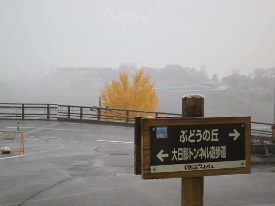 b0160142_22573289.jpg