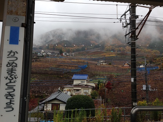 勝沼ぶどうの丘で1泊　①お酒のお供のドリンクと勝沼ぶどう郷駅_b0160142_22581464.jpg