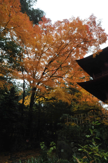 c0093046_17263377.gif