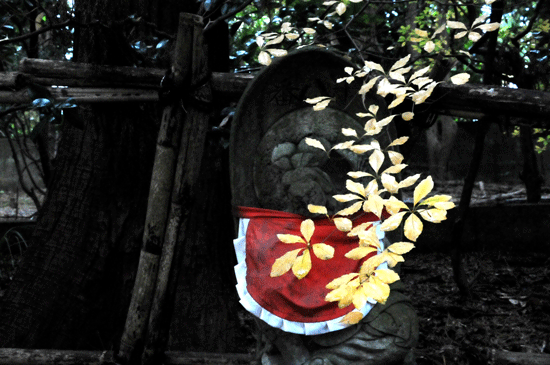 c0093046_17273726.gif