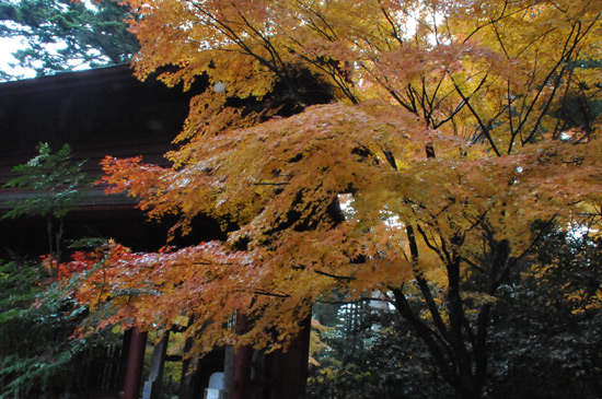 c0093046_172767.jpg