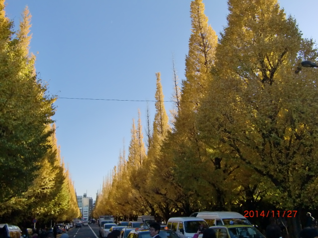b0152049_16525572.jpg