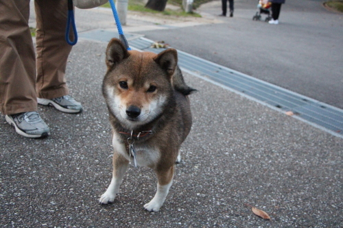 f0245650_07230265.jpg