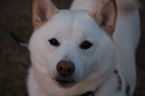 f0245650_07515141.jpg