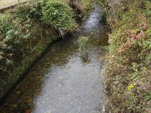 b0239151_12323755.jpg
