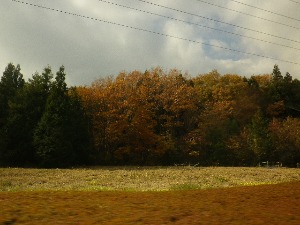 b0239151_12351333.jpg