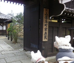 b0239151_1244656.jpg