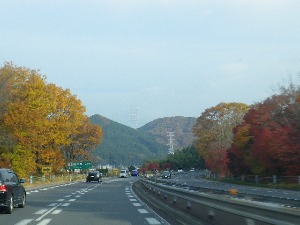 b0239151_13104935.jpg