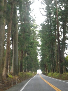 b0239151_1344236.jpg