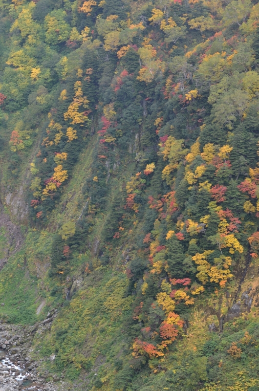 a0263952_192709.jpg