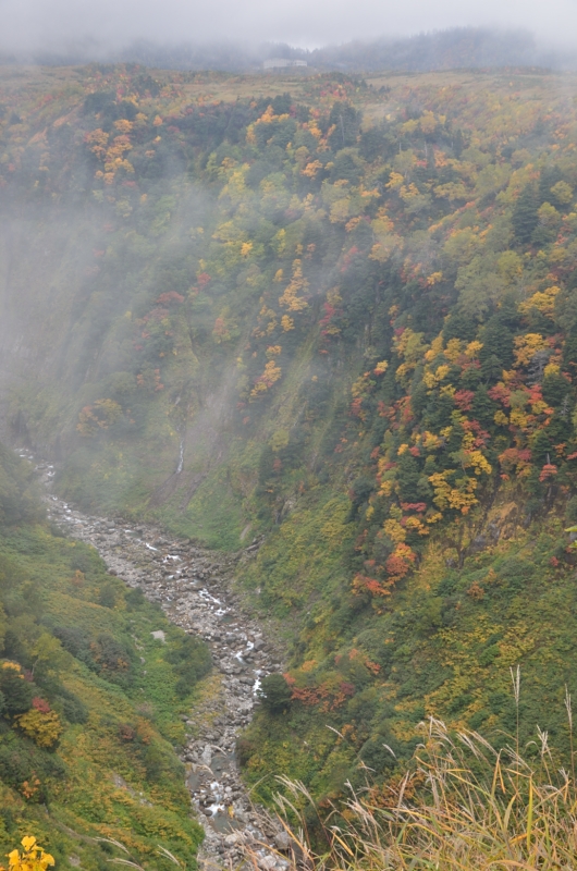 a0263952_19273437.jpg