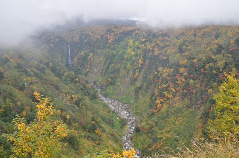 a0263952_1927589.jpg