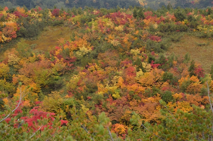 a0263952_19282341.jpg