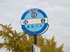 小谷[終点]Ⅱ・(熊本県益城町)_d0158053_22583092.jpg