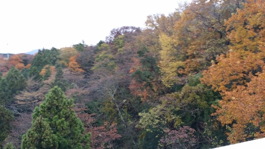 f0046854_0101532.jpg