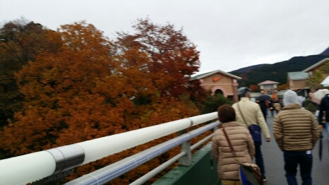 f0046854_0111542.jpg
