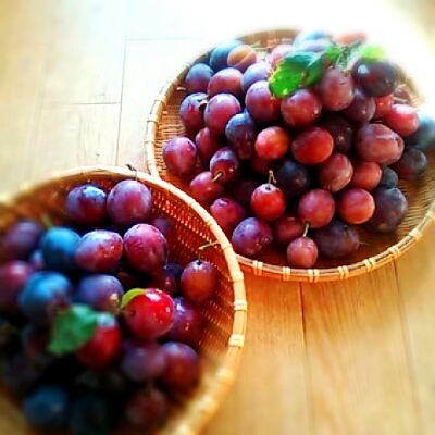 プルーンシフォン_f0291062_1943239.jpg