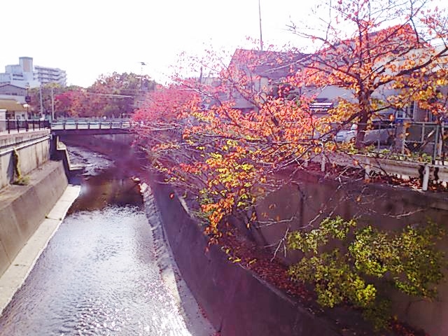 c0099564_1747786.jpg