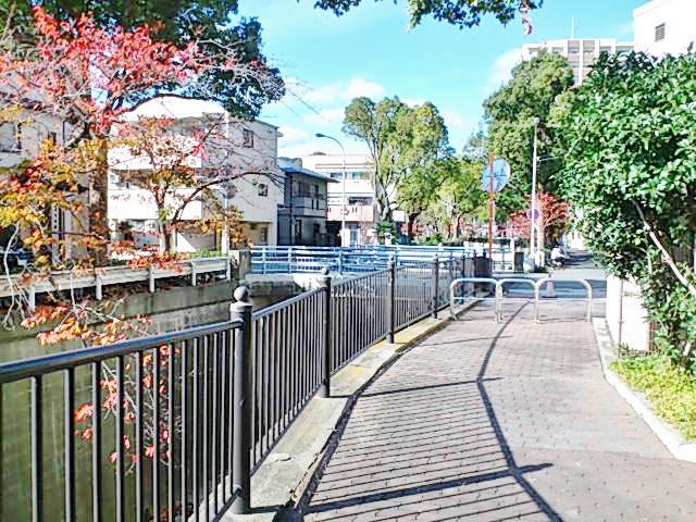 c0099564_17534398.jpg
