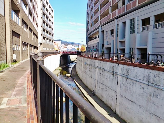 c0099564_17541898.jpg