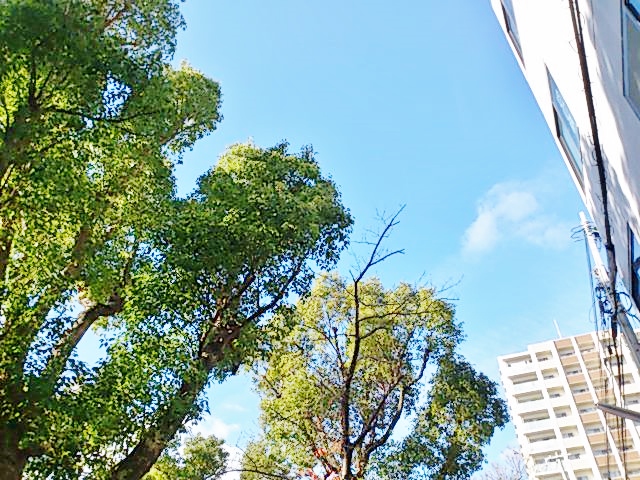 c0099564_1758142.jpg