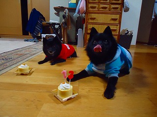e0002466_20101522.jpg