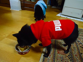 e0002466_20102674.jpg