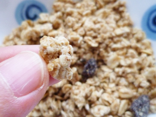 Heartland Granola Cereal (ハートランドグラノーラシリアル) レーズン_c0152767_2215826.jpg