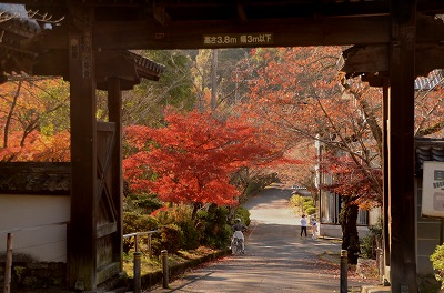 天野山金剛寺境内　③_c0229483_21212071.jpg