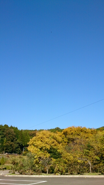 青と黄_f0197985_12291562.jpg