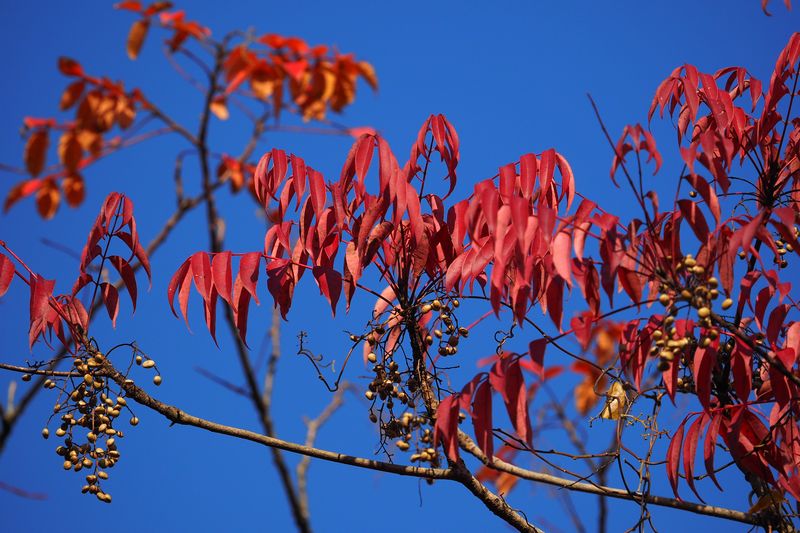 b0108186_2221814.jpg