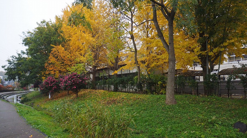 a0293295_828437.jpg