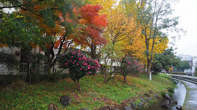 a0293295_8285828.jpg