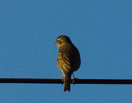b0028598_16442582.jpg